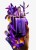 712RbZMD1CL._AC_SL1500_.jpg
