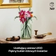 435.webp