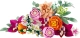 443.webp
