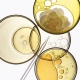 b7c75b884bdcaa7b0e603328f6e3.webp