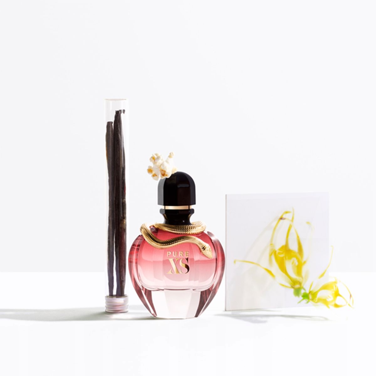 PACO-RABANNE-Pure-XS-for-her-Woda-perfumowana-dla-kobiet-Perfumy-EDP-80ml-Marka-Paco-Rabanne.jpg