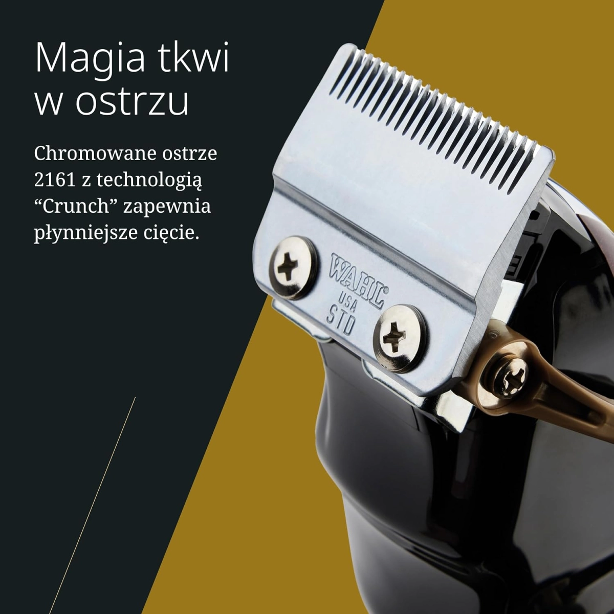 71MVFAqKU8L._AC_SL1500_.jpg