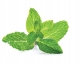 Pasta-do-zebow-GC-Tooth-Mouse-Mieta-35-ml-Przeznaczenie-dla-dzieci.jpg