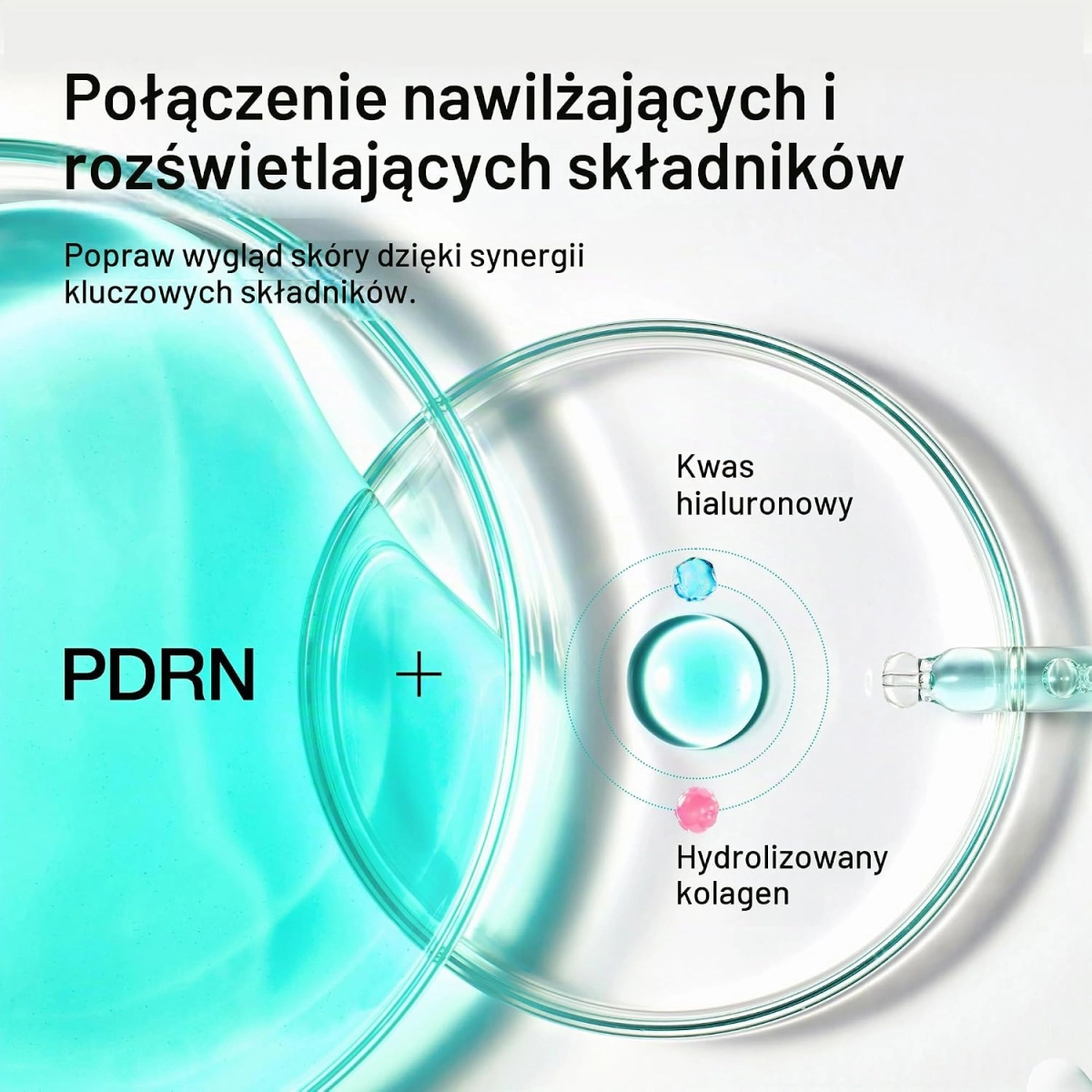 81ZhbZGQjsL._AC_SL1500_.jpg