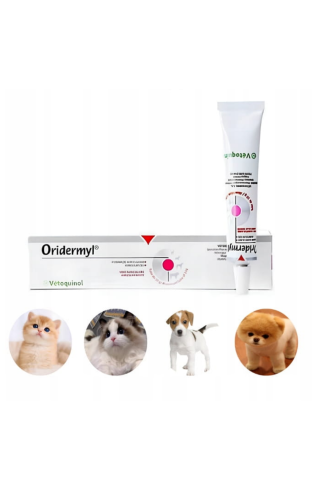 模板_01.png